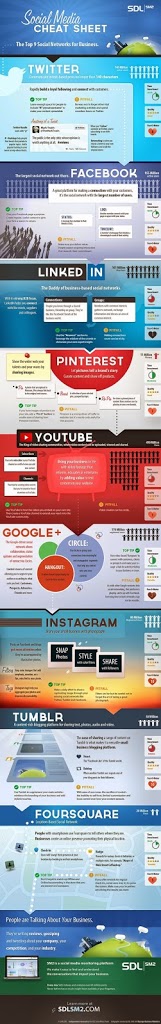 Gerir Pequeno gerir pequeno infografico social media