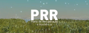 Gerir Pequeno Plano de Recuperação e Resiliência