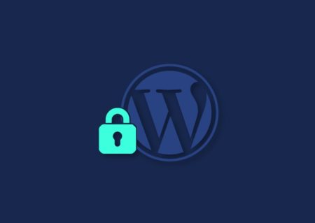 100 vulnerabilidades em plugins WordPress